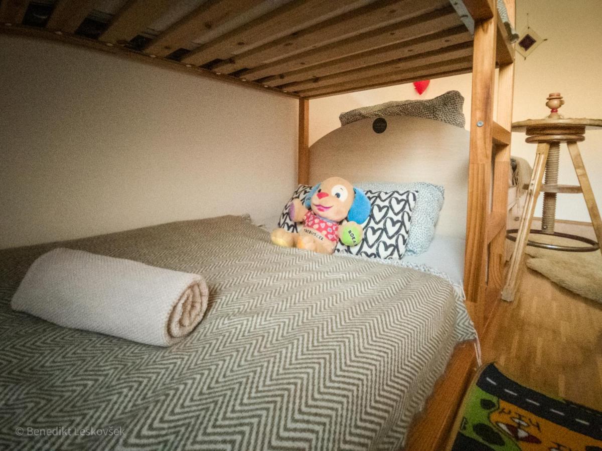 Panorama Glamping Visole Hotel Slovenska Bistrica Buitenkant foto