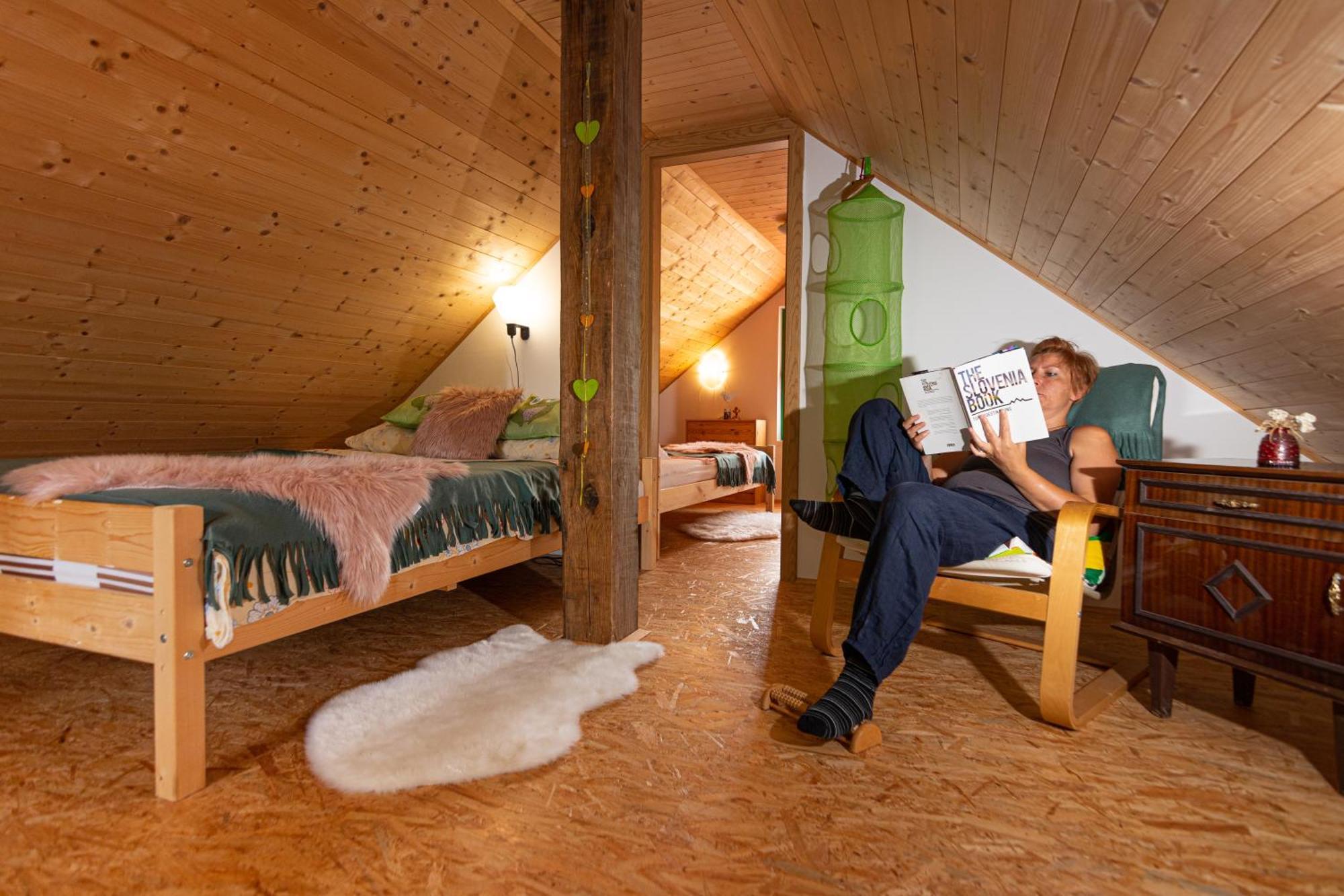 Panorama Glamping Visole Hotel Slovenska Bistrica Kamer foto