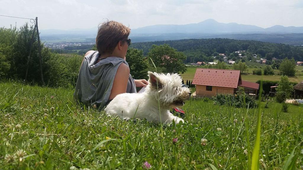 Panorama Glamping Visole Hotel Slovenska Bistrica Buitenkant foto