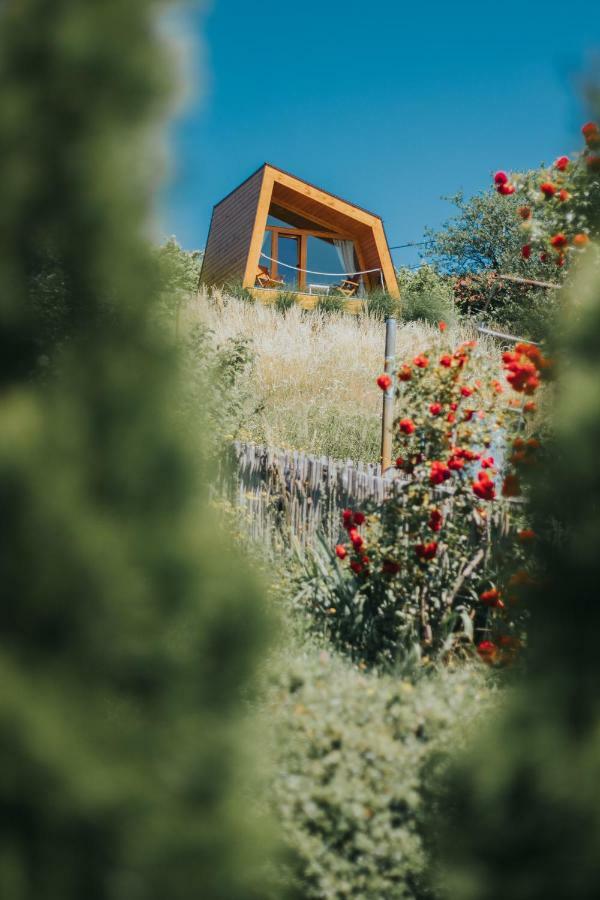 Panorama Glamping Visole Hotel Slovenska Bistrica Buitenkant foto